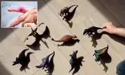 Canadian Boy, 9, Sues 11-Year-Old Peer Over Toy Dinosaur Finger Injury
