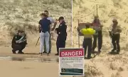 Canadian Woman Found Dead on K'gari Beach, Dingo Attack Suspected