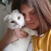 Cat Protection Urges Owners to Brush Pets' Teeth to Prevent Widespread Health Issue