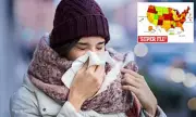 Cheap Supplement Shows Promise in Fighting Winter Viruses and 'Super Flu'