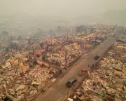 Chile Wildfires Kill 15, Force 50,000 to Flee as President Declares Catastrophe