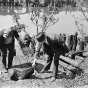 Cleveland's Torso Murders: The 1930s Serial Killer Who Was Never Caught