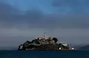 Coyote Makes Historic Swim to Alcatraz, Braving Treacherous San Francisco Bay