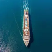 Cruise Insurance Oversight Could Cost Travellers Hundreds in Unforeseen Expenses