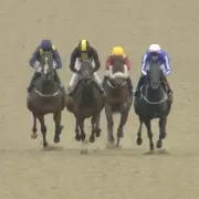 Deer Disrupts Newcastle Horse Race, Stewards Launch Safety Enquiry