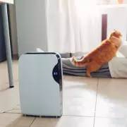 Dehumidifier Mistake Stops It Working: Experts Reveal Key Error