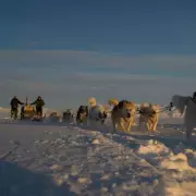 Denmark's Sirius Dog Sled Patrol: Greenland's Elite Defence in -55C Arctic