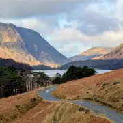 Discover the Buttermere Circular: An Easy Lake District Walk with Highland Cows