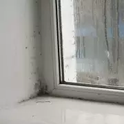 Ditch Bleach for Vinegar: Expert's Natural Method to Clear Mould from Windows