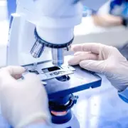 DNA Test Gift Reveals Shocking Family Secret, Shattering Man's World