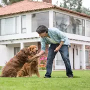 Dog Trainer Warns Families About Breeds That 'Rarely Make Good Pets'