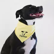 Dogs Trust Issues Urgent Social Media Scam Warning to UK Pet Lovers