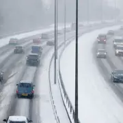 Driving instructor's vital icy road warning: Leave a 20-second gap