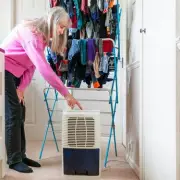 Ebac's 10 Rules: Best Direction for Your Dehumidifier to Fight Damp