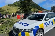 Emergency Rescue Operations Continue After Landslides Devastate New Zealand Campground and Home