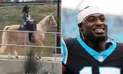 ESPN's Viral Blunder: Panthers' Legette Did NOT Ride Horse to NFL Playoff Game
