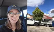 EV Influencer Slams 'Dangerous' Giant Utes as Safety and Emissions Risk