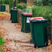 Ex-Binman Reveals Stark Contrast: Generosity in Poor vs Rich Areas