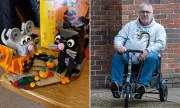 Ex-Soldier Stole £28k From Dementia-Stricken Mother to Fund Lego Obsession