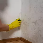 Expert's 5-Minute Trick Banshes 75% of Home Moisture and Mould