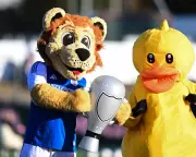 FA Cup Fourth Round Draw: Macclesfield's Giant-Killing Sets Stage for Anfield Drama