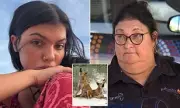 Family and Indigenous Group Oppose Dingo Cull After Backpacker's Death on K'gari