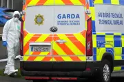 Father and Son, 12, Found Dead in West Dublin in Suspected Murder-Suicide