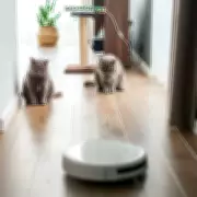 Feline Detectives: House Cats Uncover Hidden Mouse in Bookshelf Stunt