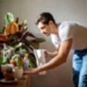 Find Your Perfect Plant Pal: Personality Quiz Reveals Your Ideal Houseplant Match