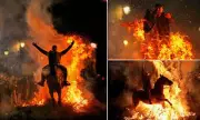 Fire and Faith: Spain's Stark Animal Blessings for St. Anthony's Day