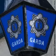 Five Boys Arrested Over Alleged Gang Sex Attack on Teenage Girl in Dublin