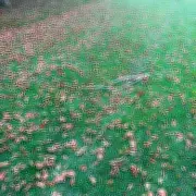 Five Gardening Experts Reveal the One Essential February Lawn Task