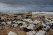 Four Killed in Gaza as Winter Storms Collapse Tents on Displaced Families