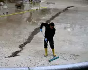 Friday's Global Snapshot: From Trevi Fountain Fees to Melbourne's 43C Heatwave