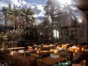 Frozen in Time: Fukushima's Abandoned School and the Debate Over Human Return