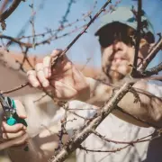 Gardening Expert's January Pruning Warning: 5 Plants to Avoid Now