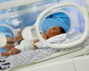 Gaza War Triggers 41% Drop in Births Amid Reproductive Violence Claims