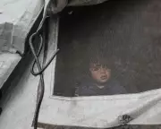 Gaza Winter Crisis Deepens as Israel Bans 37 Aid NGOs, UK Warns of Catastrophe