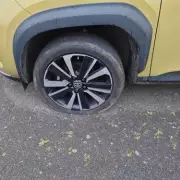 Goring-by-Sea Tree Row Sparks Vandalism Spree: 12 Tyres Slashed, Threatening Message Carved