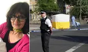 Grandmother, 66, stabbed 18 times at London bus stop by 'gore video' fanatic