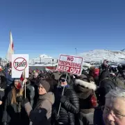 Greenland 'On Brink of Civil War' Warns Pro-Trump Activist to UK