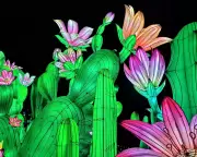 Guardian Readers' Stunning Photographs: From Lanterns to Parakeets