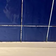 Home Bargains £1.39 Mould Spray Transforms Grout in Minutes