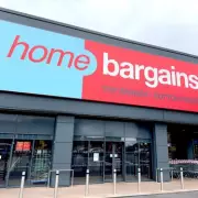 Home Bargains £25 Shoe Cabinet 'So Similar' to B&Q's £110 Sleek Option