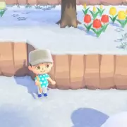 How to Get a Ladder in Animal Crossing New Horizons 3.0 Update