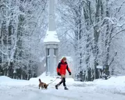 Hundreds of Schools Shut as Amber Snow Warning Hits Northern Scotland