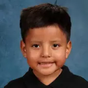 ICE's Child Detention in Minneapolis Sparks Community Outrage and Fear