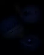 Inside UK Prisons: A Former Officer on Rising Murders and Systemic Failure