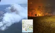 International Firefighters Deployed as Victoria Bushfires Destroy Homes Amid Extreme Heatwave