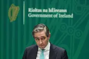 Irish Deputy Premier Warns US Greenland Tariffs Could Trigger Economic 'Spiral'